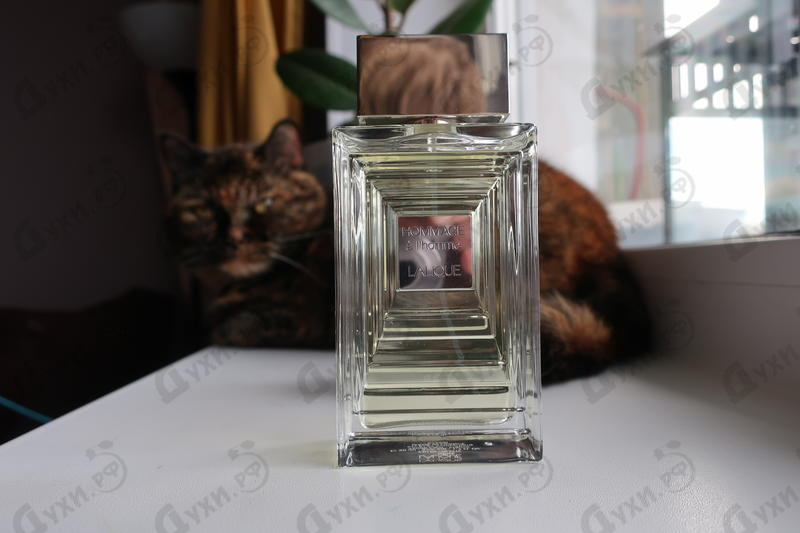 Купить Lalique Hommage A L'homme Духи Hommage A L'homme от Lalique