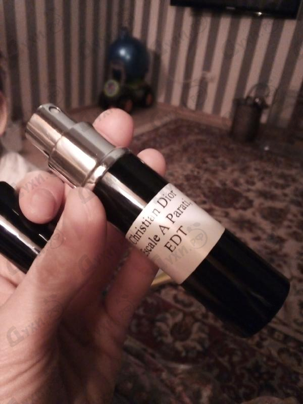 Купить Christian Dior Escale A Parati Купить Escale A Parati от Christian Dior