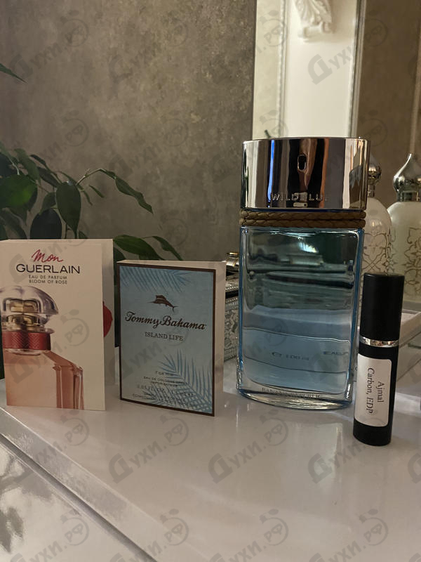 Парфюмерия Wildblue от Banana Republic