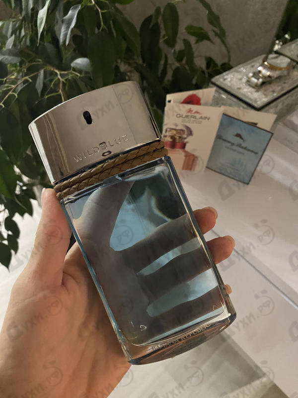 Купить Wildblue от Banana Republic