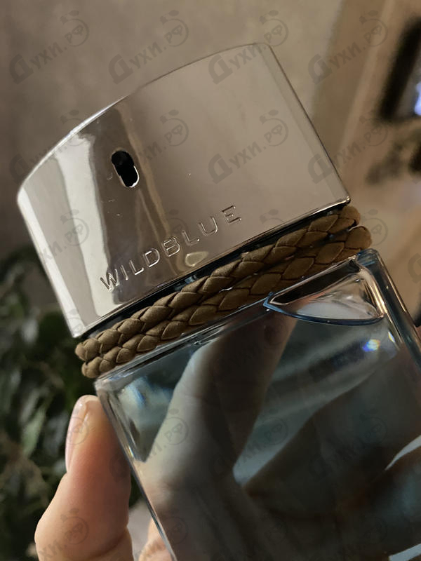 Купить Banana Republic Wildblue