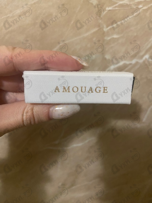 Купить Library Collection Opus V от Amouage