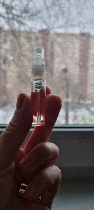 Парфюмерия Library Collection Opus V от Amouage