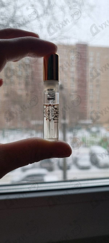 Отзыв Amouage Library Collection Opus V