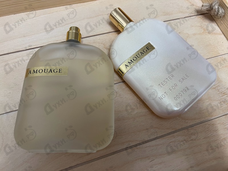 Купить Library Collection Opus V от Amouage