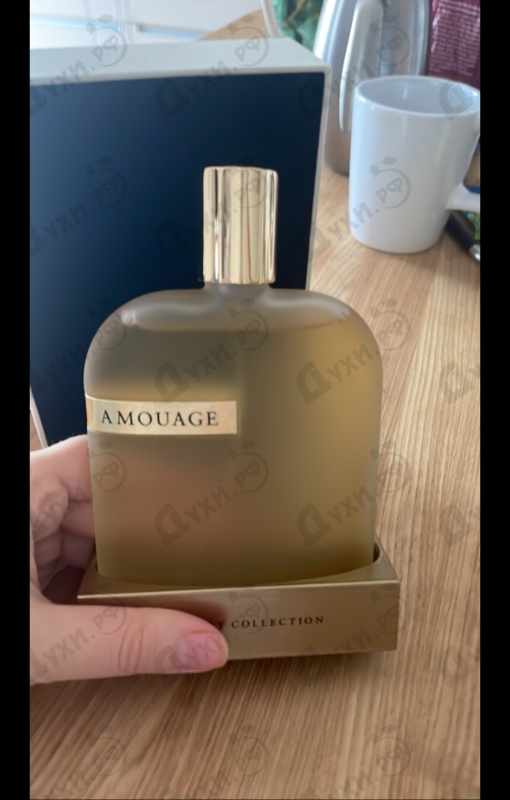 Купить Library Collection Opus VI от Amouage