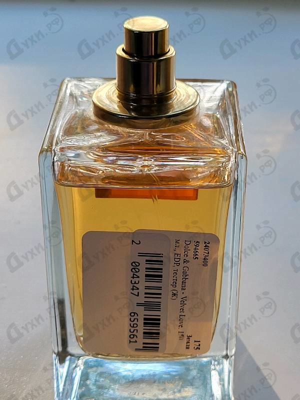 Парфюмерия Velvet Love от Dolce & Gabbana Отзывы Dolce & Gabbana Velvet Love