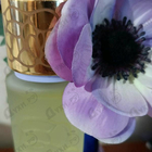 Духи Quelques Fleurs от Houbigant