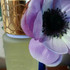 Духи Quelques Fleurs от Houbigant