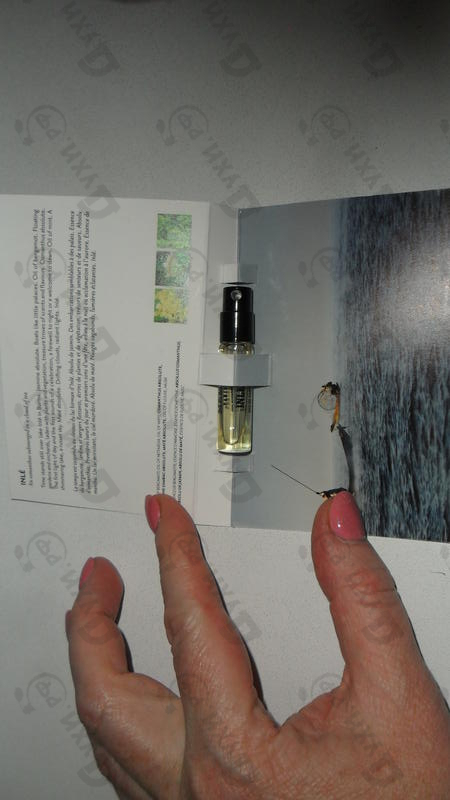 Отзыв Memo Inle