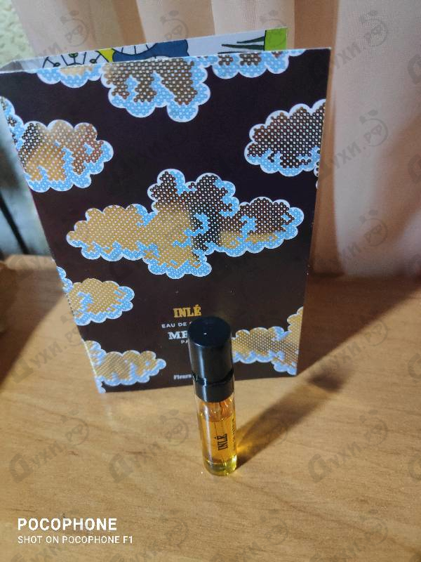 Купить Memo Inle