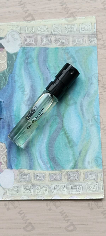 Купить Memo Inle