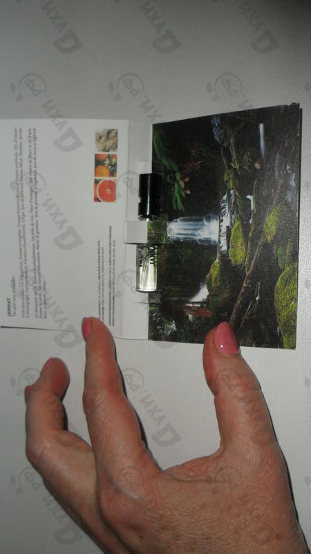 Отзыв Memo Jannat