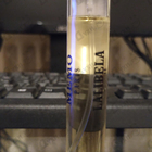 Отзыв Memo Lalibela