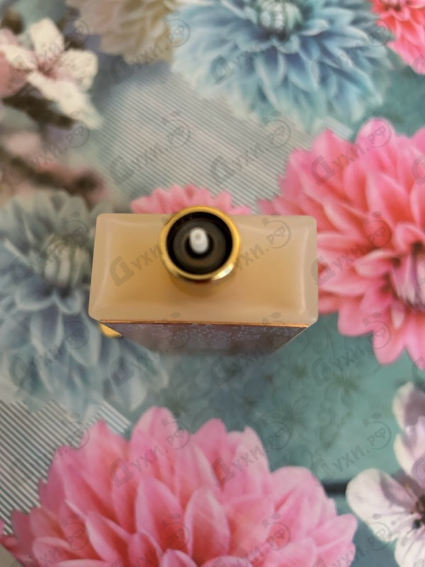 Отзывы Memo Siwa