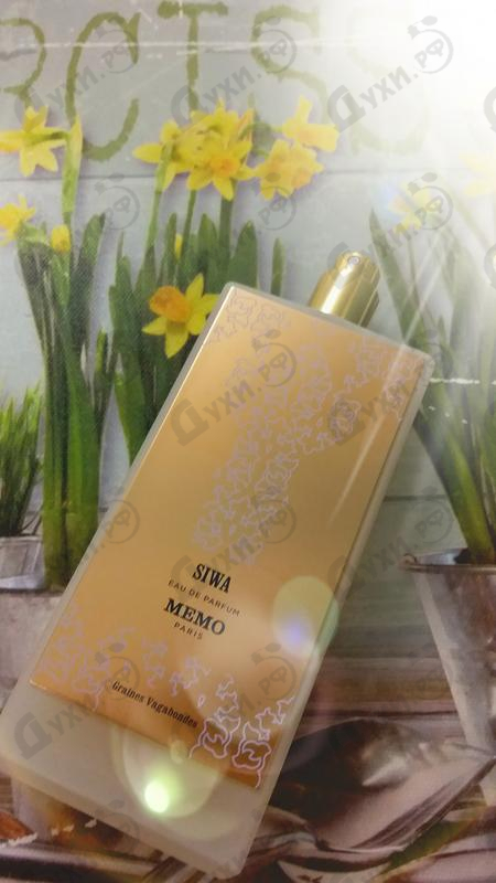 Отзыв Memo Siwa