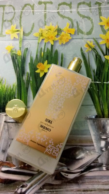 Купить Siwa от Memo