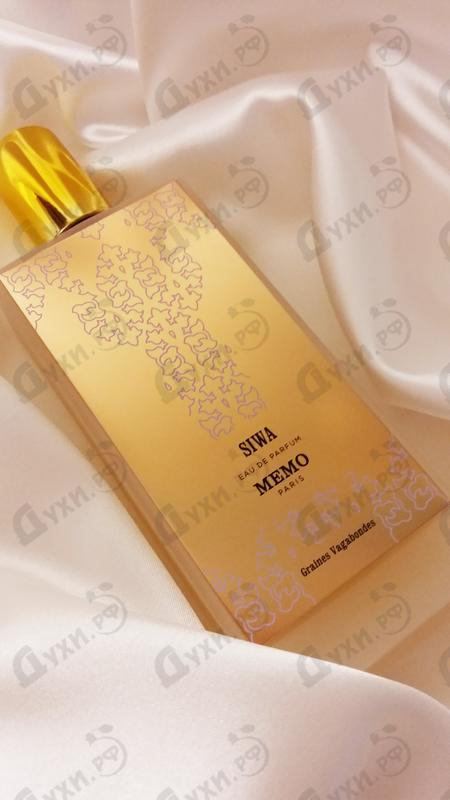 Купить Memo Siwa