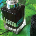 Парфюм Nasomatto Black Afgano