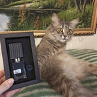 Отзывы Nasomatto Black Afgano