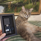 Отзыв Nasomatto Black Afgano