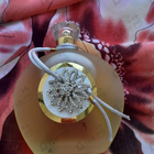 Отзыв Rance Rose De Rose