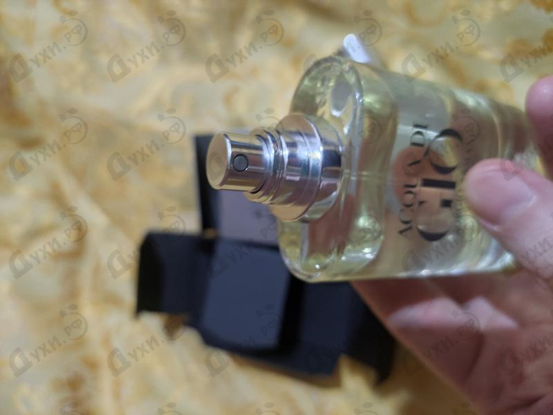 Купить Giorgio Armani Acqua Di Gio Essenza Купить Acqua Di Gio Essenza от Giorgio Armani