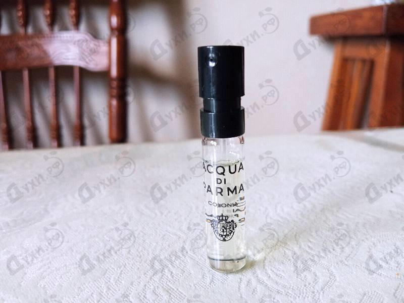 Отзывы Acqua Di Parma Colonia
