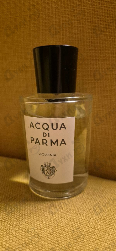Парфюмерия Colonia от Acqua Di Parma