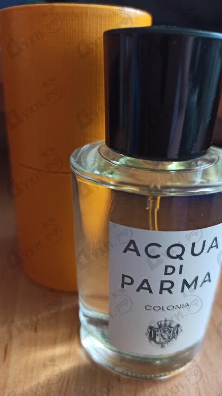 Купить Colonia от Acqua Di Parma