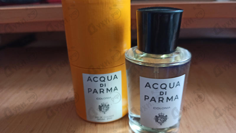 Купить Colonia от Acqua Di Parma