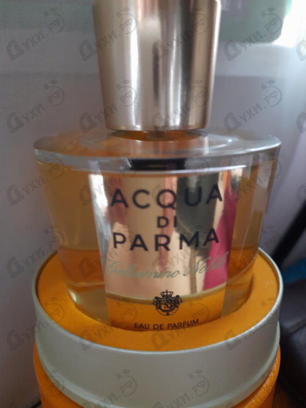 Купить Gelsomino Nobile от Acqua Di Parma