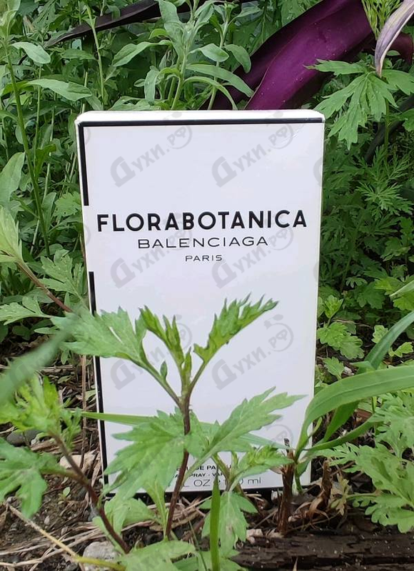 Купить Florabotanica от Balenciaga