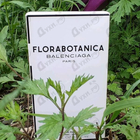 Отзывы Balenciaga Florabotanica