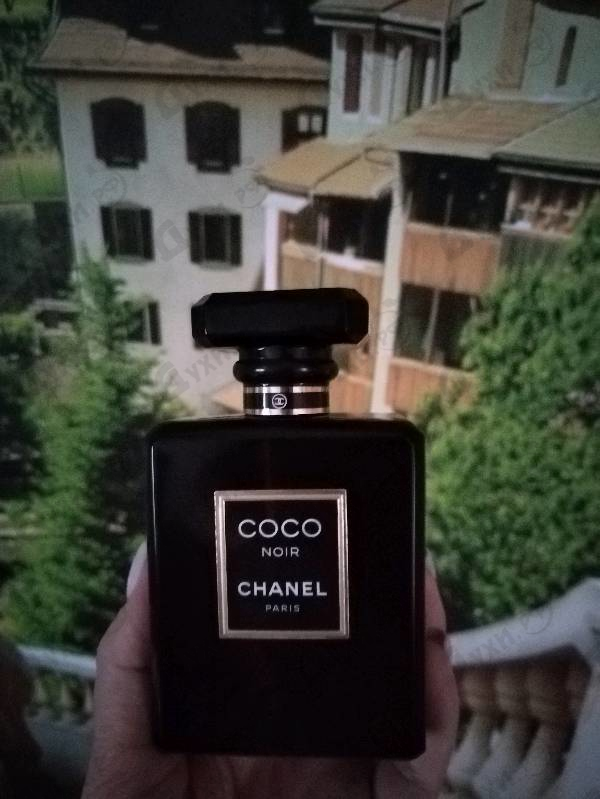 Купить Chanel Coco Noir