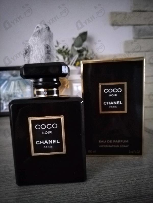 Купить Chanel Coco Noir