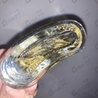 Отзывы Creed Royal Oud