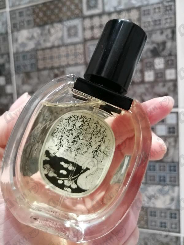 Купить L'ombre Dans L'eau от Diptyque