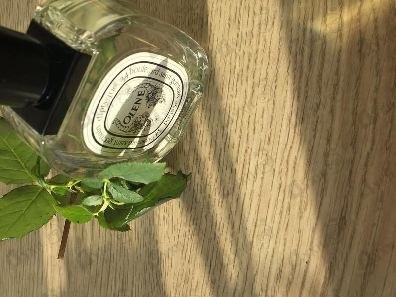Отзывы Diptyque Olene Парфюмерия Olene от Diptyque