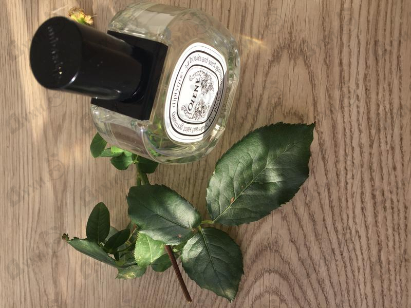 Отзыв Diptyque Olene Духи Olene от Diptyque