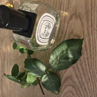 Духи Olene от Diptyque
