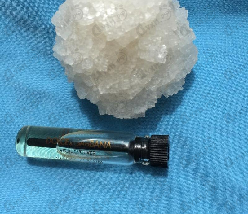 Духи Velvet Vetiver от Dolce & Gabbana Отзывы Dolce & Gabbana Velvet Vetiver