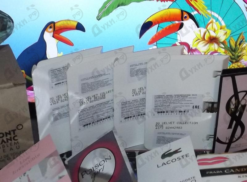 Парфюмерия Velvet Vetiver от Dolce & Gabbana Парфюмерия Dolce & Gabbana Velvet Vetiver