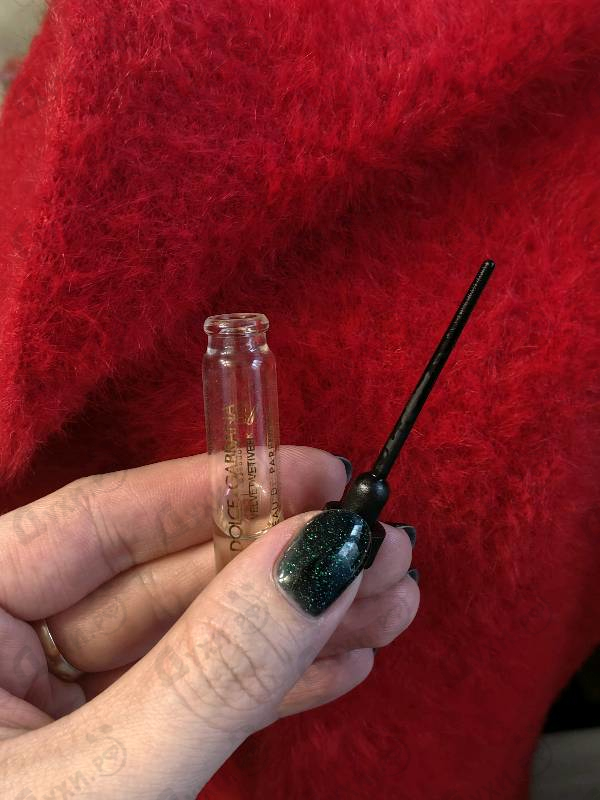 Купить Velvet Vetiver от Dolce & Gabbana