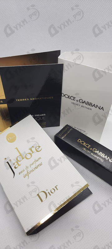 Парфюмерия Dolce & Gabbana Velvet Vetiver