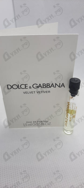 Парфюмерия Velvet Vetiver от Dolce & Gabbana Купить Dolce & Gabbana Velvet Vetiver