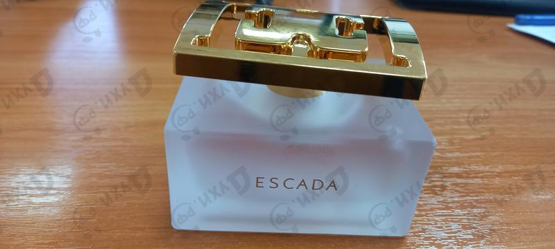 Купить Especially Delicate Notes от Escada