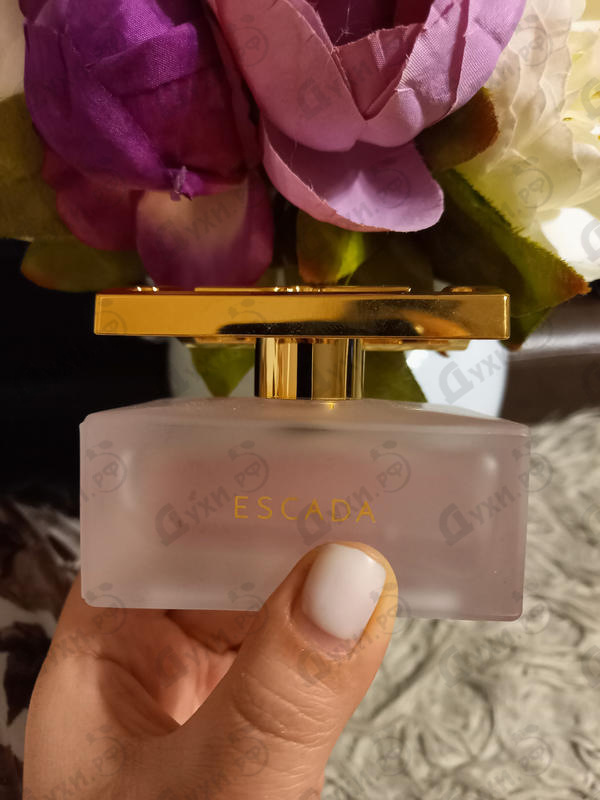 Купить Especially Delicate Notes от Escada