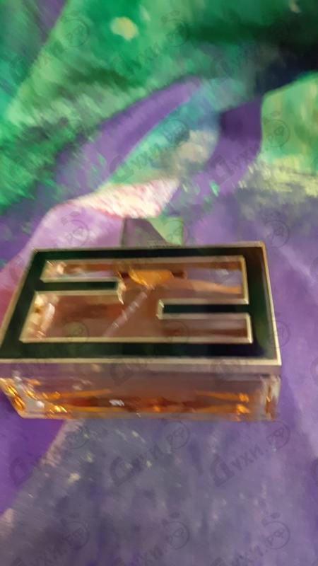 Купить Fan Di Fendi Extreme от Fendi