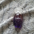Отзывы Gres Cabotine Cristalisme